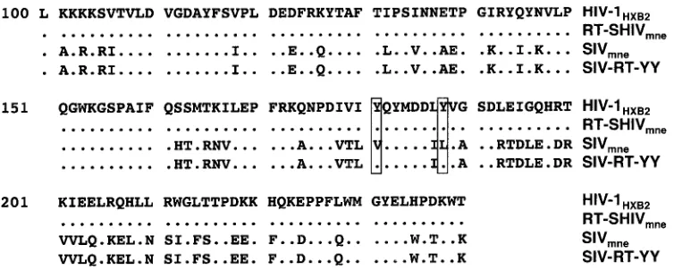 FIG. 1. Sequence alignment of amino acids 101 to 240 in the RTs of HIV-1residues conserved between the different isolates
