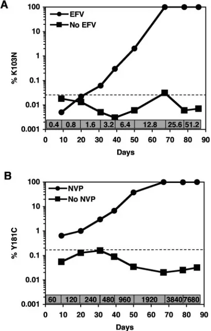 TABLE 4. RT mutations found in NNRTI-selected RT-SHIVmne