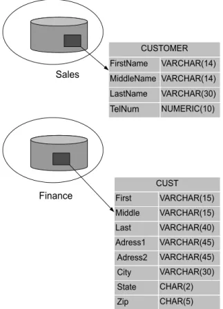 Figure 2.2: Different applications modeling the same customer differently [Loshin, 2009]
