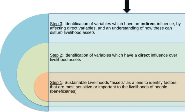 Figure 1: Analytical framework for identifying risk transfer pathways 