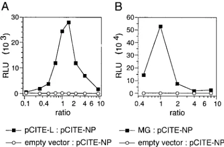 FIG. 5. Determination of the optimal ratios between MG, pCITE-NP, and pCITE-L. (A) Titration of ratio between pCITE-NP and
