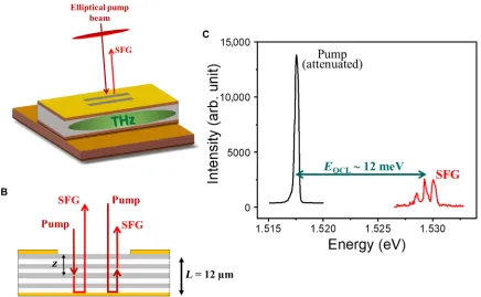 Fig. 3. Sum frequency generation in reflection geometry. (structure. The SFG could be generated during either forward or backward path of the pump