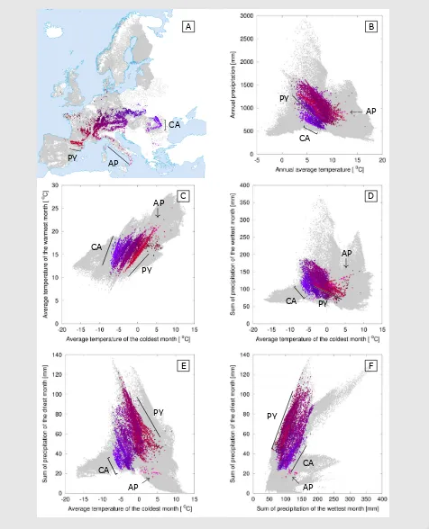 Figure 2: Observed presences of Abies albahighlighted from populations in the Pyrenees (PY), Italian Apennines (AP) and Carpathians (CA)