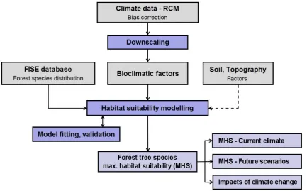 Figure 5: Tree species habitat suitability modelling approach.
