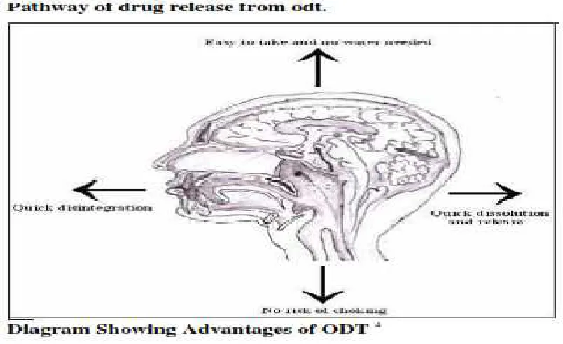 Figure no. 1 orally disintegration tablet