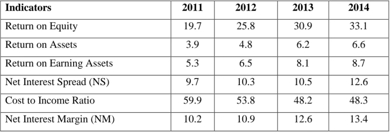 Table 2.4:  Profitability Indicators (%) 