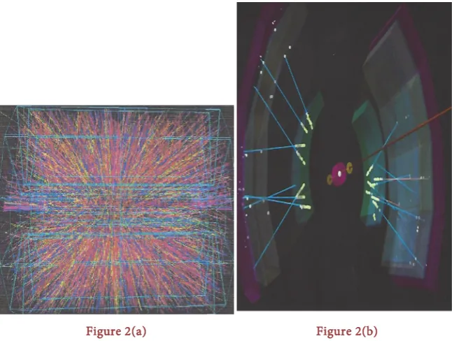 Figure 2(a)                           Figure 2(b) 