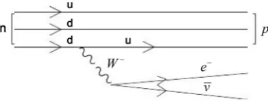 Figure 3(b): 