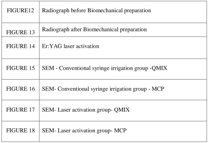 FIGURE12 Radiograph before Biomechanical preparation 