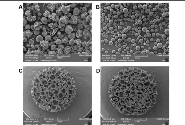 Figure 2.4: SEM images of resveratrol loaded PLG particles and scaffolds. (A-B)  Scanning electron microscope images of PLG+RSV (A) and PLG (B) particles