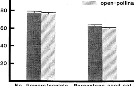 Fig. 1. Comparison of isolated and open-pollinated Paloma panicles for mean number offlowers per panicle and percentage seed set
