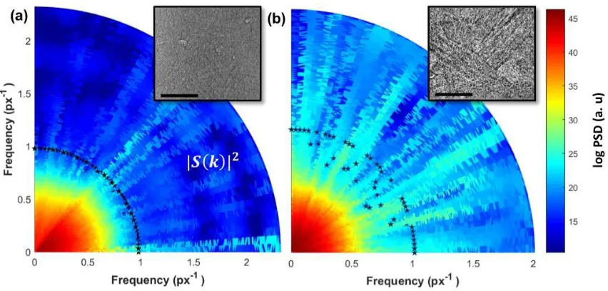 Figure 3. Measurement of the spatial resolution criterion for line proﬁles oriented from 0obtained along an arbitrary line in the projection image