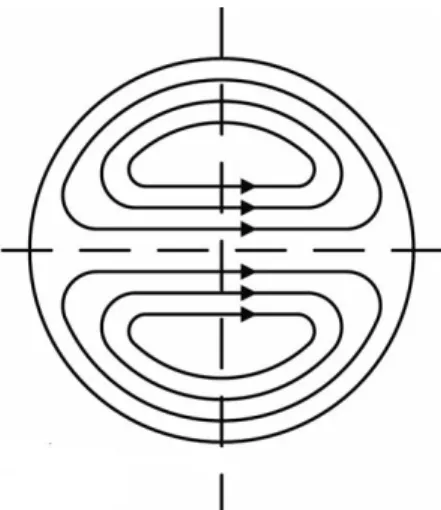 Figure 2: Secondary flow field in helical coiled tubes [4] 