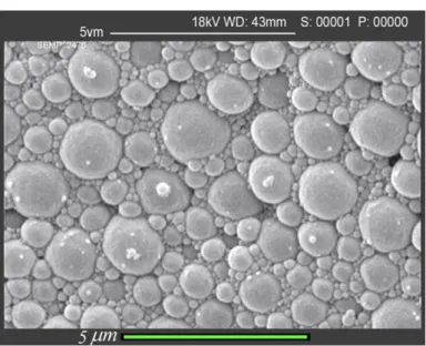 Figure 1. Encapsulated PC210 as measured by scanning electron microscopy.
