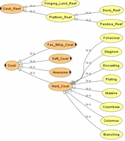Figure 3 –IS_A relationships in a segment of the Semantic Reef ontology. 