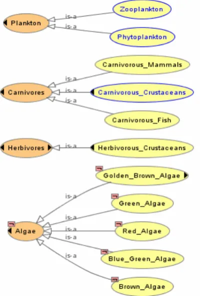 Figure 4 –Unclassified ‘tangled’ segment shows only manually asserted IS A relationships.