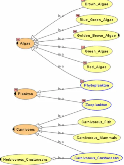 Figure 5 – The segment after the Reasoner classification - ‘untangled’; now showing the 