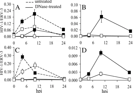 FIG. 4. Analysis of HIV-1V165A reverse transcription by RQ-PCR.(A) Jurkat cells were infected with untreated (dashed line) or DNase-