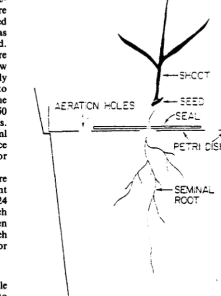 Table 1. Effects of root excision and temporary dehydration treetments(MPa) on subsequent root depth (cm), root end shoot weight per box(mg) of the 4 species, in a 6Odey growth performance test in the greenhouse with seedlings limited to the initial soil w
