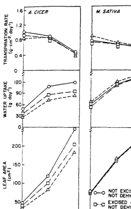 Fig. 3. Effects of root excision and dehydration treatment (-22 MPa) on subsequent leaf area, water uptake, and transpiration rate of a&& (M