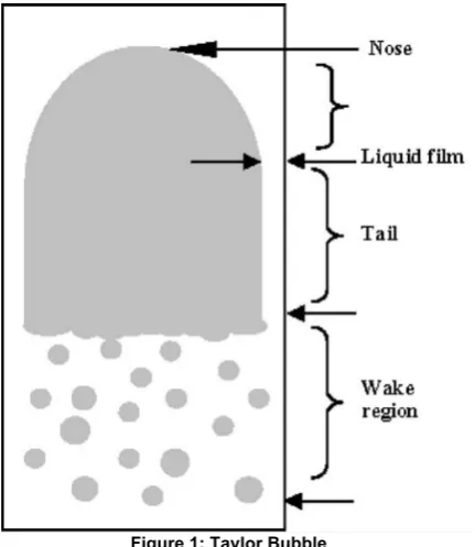 Figure 1: Taylor Bubble 
