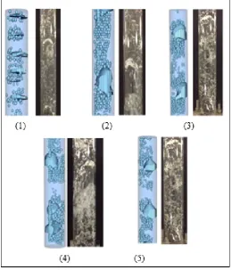 Figure 3: Comparison of the exported image with the mean gas concentration graph. 