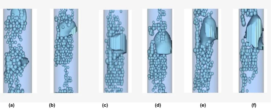 Figure 4: Transient dynamics of Taylor bubble