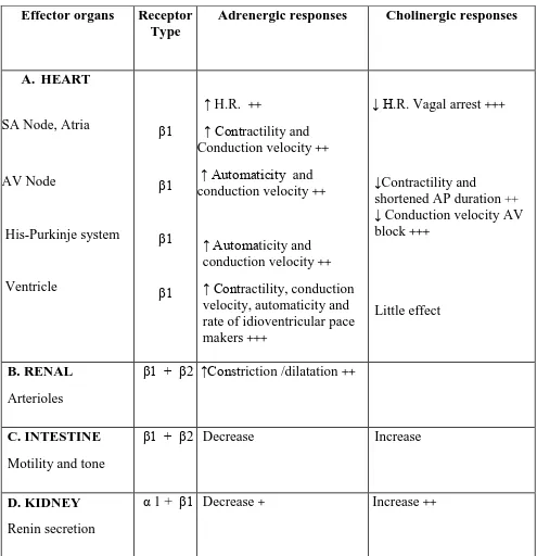 Table 2: Site of β 1 Receptors and responses of Effector organs to 