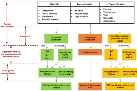 Fig. 7. Fundamental mechanism and possible routes for diﬀerent types of materials based on CSP