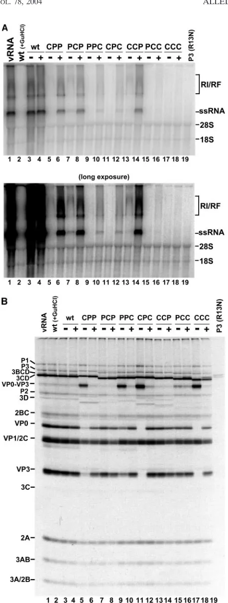Fig. 3A and 4A). Alternatively, our results with the PCP, PPC,