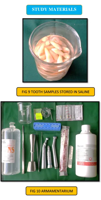 FIG 9 TOOTH SAMPLES STORED IN SALINE  