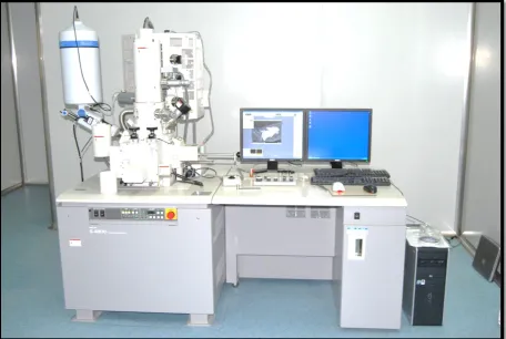 FIG 19 SCANNING ELECTRON MICROSCOPY 