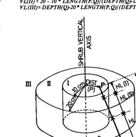 Fig. 2. Model used to estimate vertical distribution of roots. P and Q: points of a root between which it can be considered a straight segment