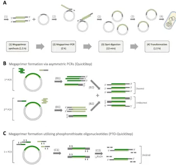 Figure 1.(PTO) oligonucleotides, featured in PTO-QuickStep (C1: a standard PCR with PTO oligos, C2: iodine  Overview of QuickStep and PTO-QuickStep