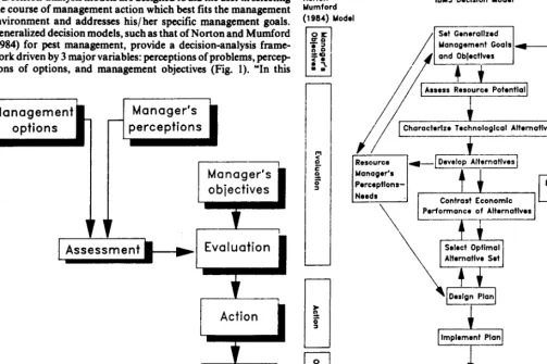 Fig. 2. Parallels between the generalized Norton and Walker (1985) and IBMS (Scifes et al