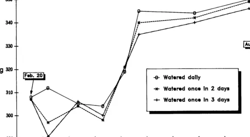Fig. 1. Average steer weighrs for the 3 warering regimes during the study period. 