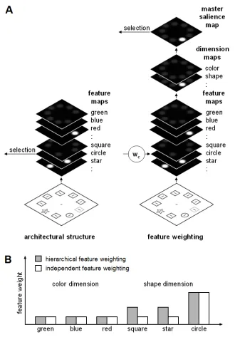 Figure 1. (A) Schematic representation of two architectures that can realize the feature relevant feature map