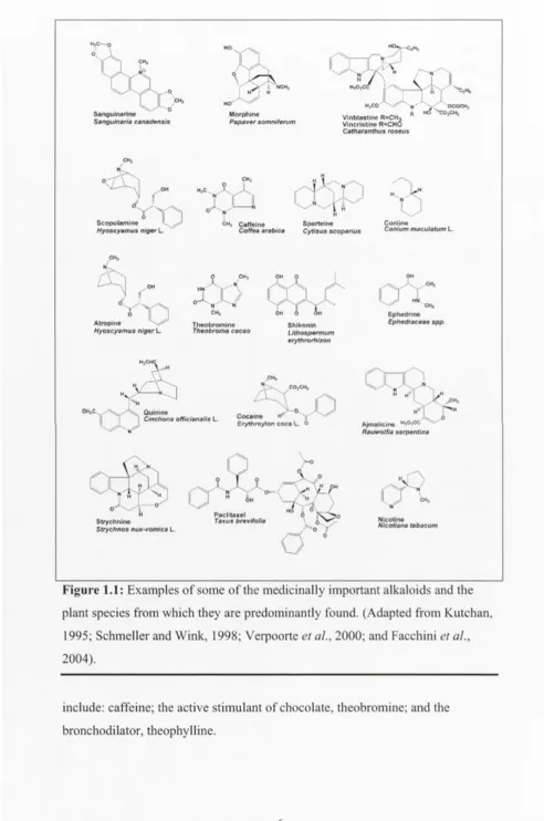 Figure 1.1: Examples of some of the medicinally important alkaloids and the 