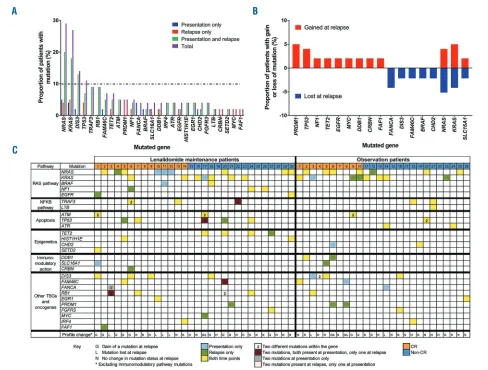 Figure 1. The mutational profile at presentation and relapse. (A) Recurrent mutations in myeloma and mutations within the genes associated with immunomodu-latory agent action