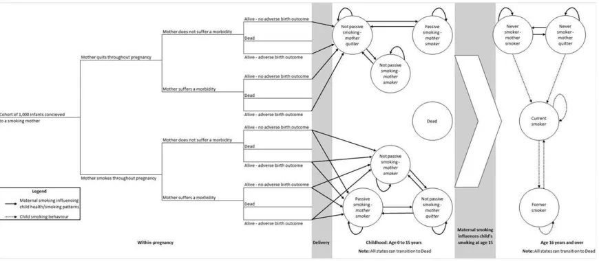 Figure 2 Simpliﬁed fetal and infant model: offspring progress through ‘within-pregnancy’ decision tree determining ‘states’ for entry into Markovchildhood and life-time components