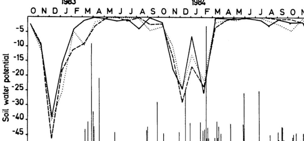 Fig. 2. Evolution of soil water potential (bars) at 30 ( -), measurement cycle. 