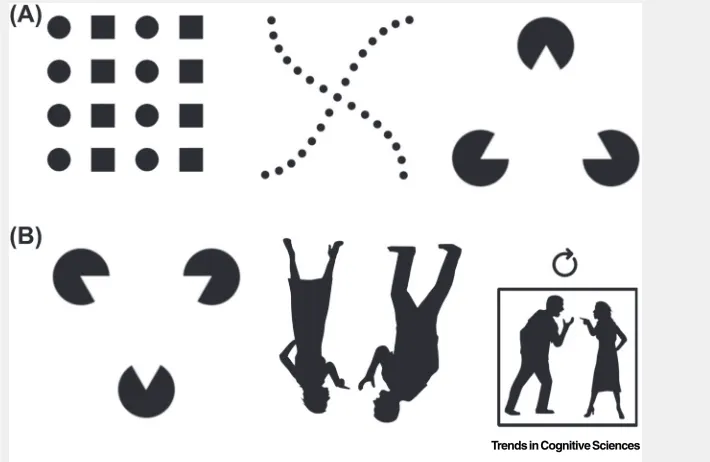 Figure I. Regularities in Low-Level Vision. (A) Examples of Gestalt formation through low-level grouping based on (leftagentsto right) similarity, good continuation, and illusory contour formation