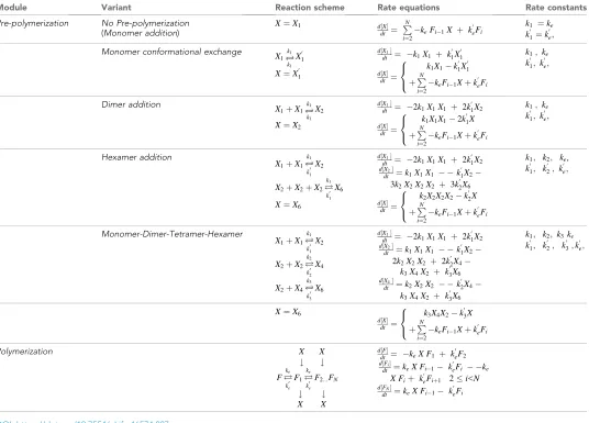 Table 4. Reaction schemes, rate equations and rate constants for the fibril elongation models tested.X represents the species that add onto the fibril ends.