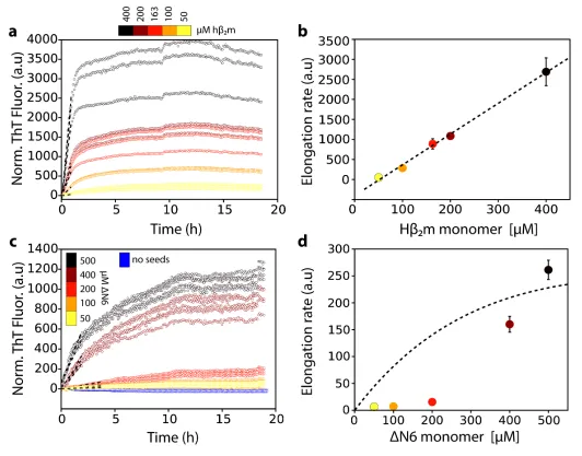 Figure 1. Dependence of the fibril elongation rate on the concentration of soluble protein