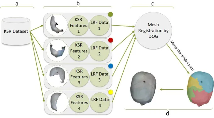 Figure 4: Mesh registration procedure: (a) Dataset from the previous process of extractingKSR features and LRF data (b) The input of the registration process (c) DOG have beenused to match the input KSR features