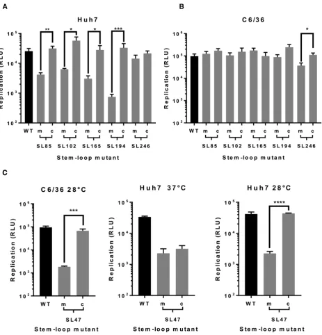 Figure 7. Replication phenotype of sub-genomic CHIKV replicons in (at 28RNA structure (black) are compared to replicons bearing mutations (grey) predicted to destabilize (m) or restore (c) the heteroduplex stem of individualgenomic RNA structures