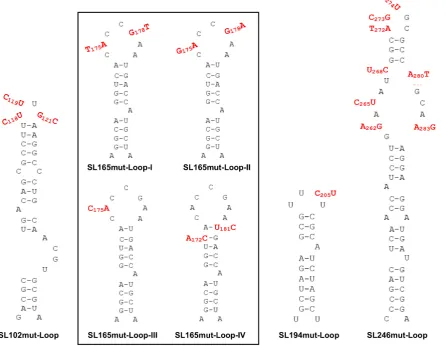Figure 9. Substitutions (red) in single-stranded regions of CHIKV genomic RNA structures