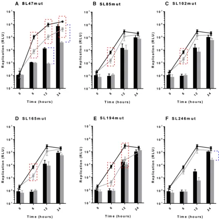 Figure 4. Replication phenotype of sub-genomic CHIKV replicons in Huh7 human (line graph) and C6/36 Ae