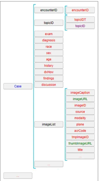 Figure 3.  Initial schema for the MedPix collection (excerpt).