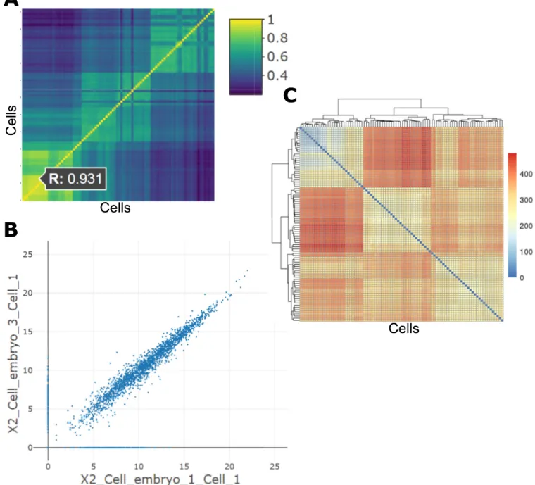 Fig 2. Correlation analyses. (A) Interactive correlation heatmap generated from single-cell gene expression data; (B) Scatterplot generated by selected a cell in the interactive correlation heatmap; (C) Sample distance matrix showing Euclidean distances be